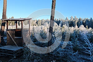 A small hunting tower in a frozen cold forest