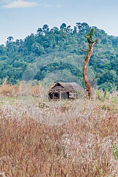 Small hut in fields near Hsipaw, Myanm photo