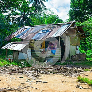 Small hut in jungle