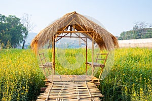 The small hut from nature materials building in Yellow Sunn hemp flowers field in sunny day