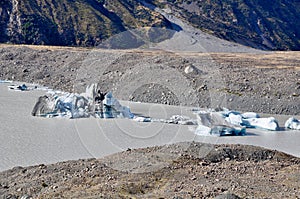 Small icebergs floating in the lake of the Tasman glacier in New Zealand