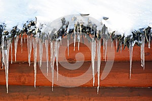 Small icicles on a wooden background