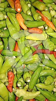 small Indonesian chilies that have been picked from the garden