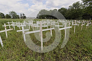 A small Impromptu memorial of white crosses to Grieve the Loss of Hundreds of Indigenous Children photo