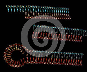 Small interfering RNA or siRNA or short interfering RNA or silencing RNA photo