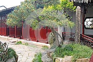 A small internal Chinese courtyard and trees. City of Shanghai