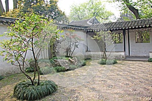 A small internal Chinese courtyard and trees. City of Shanghai