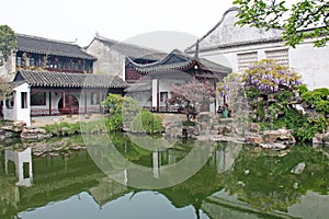 A small internal Chinese courtyard and trees. City of Shanghai. Pond in the Chinese park