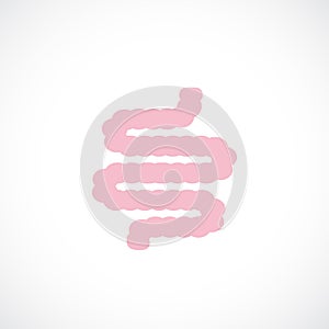 Small intestine vector icon