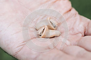 Small intra channel hearing aid device in a man`s hand.