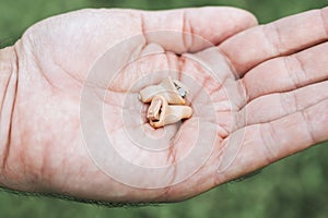 Small intra channel hearing aid device in a man`s hand.