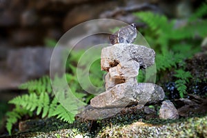Small Inukshuk, rock sculpture, on the moss with green leaves on the background