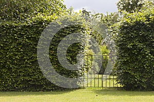 Small iron Gate to idyllic formal garden