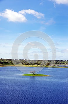 Small island in alqueva lake, Portugal photo