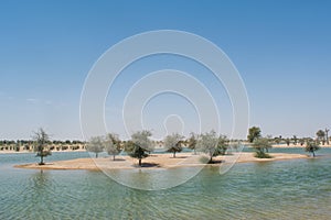 Small island at artificial lake at oasis in the desert surrounded by trees and bushes