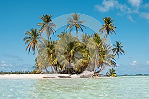 Small Island , Beach and Palm Trees - San Blas Islands, Panama photo