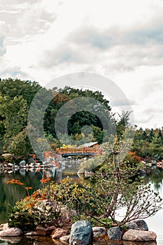 Frederik Meijer Gardens - Grand Rapids, MI, USA - September 8th 2019:  Small island in the middle of a lake of the japanese garden