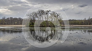 Small island in the middle of lake with many bird nests