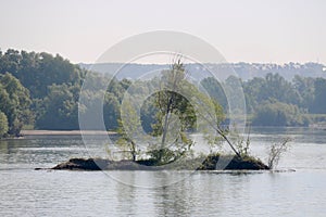 A small island in the middle of the river