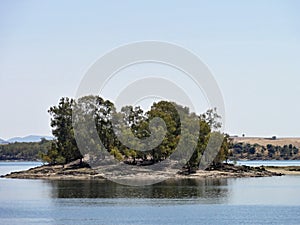 Small island in the Orellana lake, Extremadura - Spain