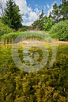 Small island on Palcmanska Masa water dam in Slovak Paradise national park