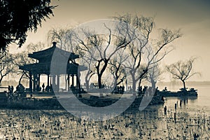 A small island by the shore with a gazebo in the middle and a lake viewpoint