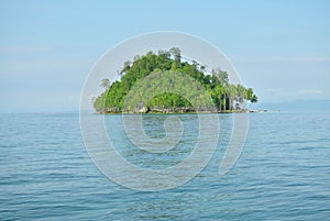 small island with trees.