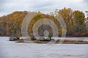 Small island on the Willamette river