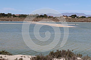 Small islands with birds inside the lagoons in the Salinas del Pinet, La Marina, Alicante, Spain