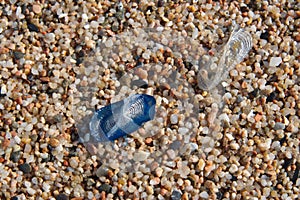 Small jellyfish on pebbles on the beach close-up