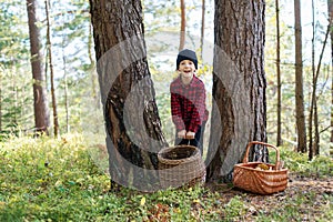 Small kid with basket collecting mushrooms photo