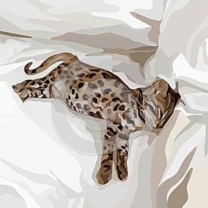 A small kitten with a leopard print is lying in bed. Vector fashion illustration