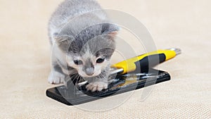 Small kitten near the phone with broken glass and a wrench. Mobile phone repair