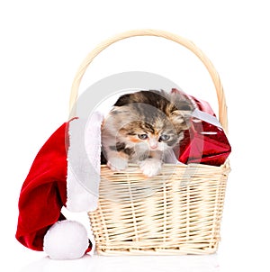 Small kitten with red hat and gift in basket. isolated on white