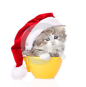 Small kitten with red hat in large cup on white