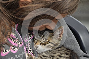 Small kitten sitting on a girl`s lap. Stroking and hugging mascot,