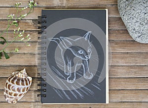 Small kitty exploring hand-drawn illustration. Cat by white chalk on black paper.