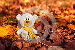 Small knitted amigurumi teddy bear sitting autumn background. Teddy bear doll toy on yellow flower background