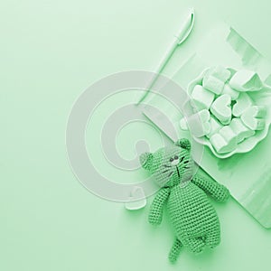 A small knitted baby toy-cat, notebook and sweetness marshmallow on trendy neo mint pastel background, flat lay, top view, copy