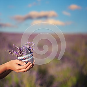 Small knitted basket with lavender in hands