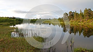 Small Lake in Abisko National Park in Sweden