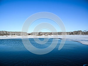 A small lake with a birch forest