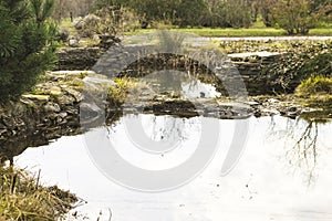 Small lake in the botanical garden