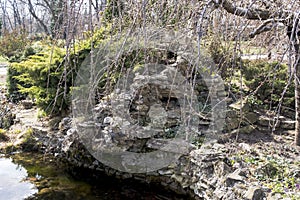 Small lake in the botanical garden