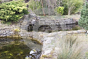 Small lake in the botanical garden