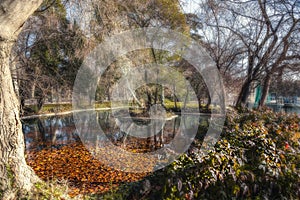 Small lake in Buen Retiro park in Madrid