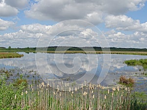 Small lake with cloud reflections