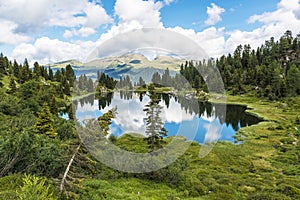 Small lake of Colbricon, Dolomites