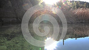 Small lake with dry reeds in which the mist can be seen at dawn