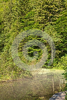 Small Lake Falkensee